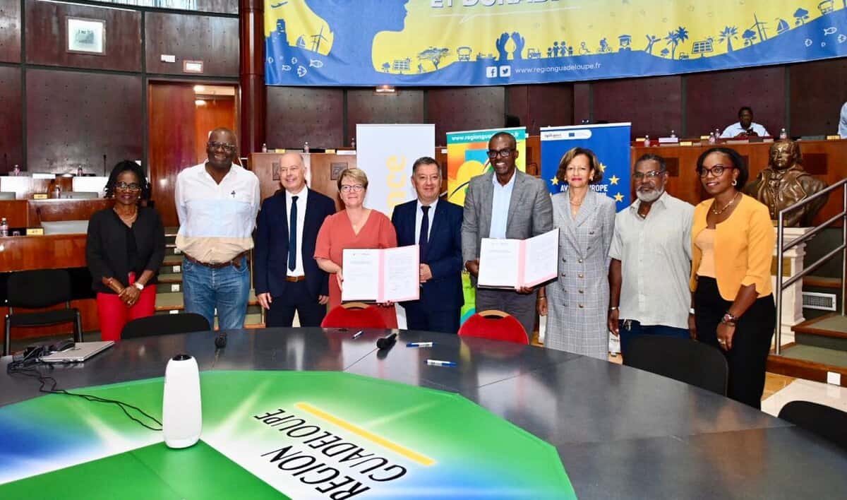 Renouvellement d’un partenariat avec Bpifrance pour soutenir les entreprises de Guadeloupe