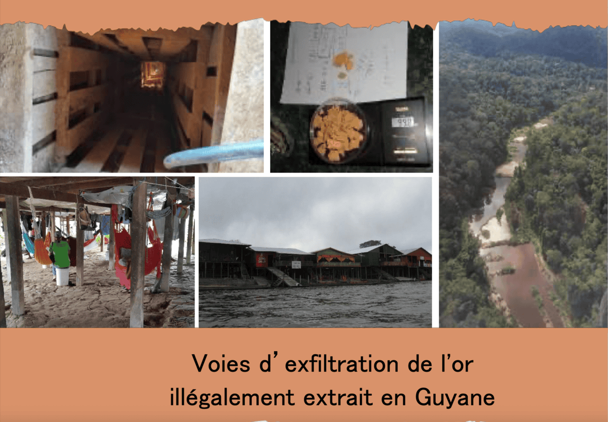 Orpaillage illégal en Guyane : le WWF tire la sonnette d’alarme