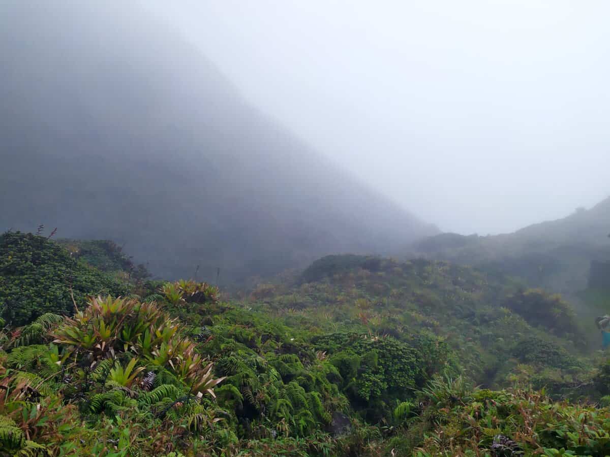 Des randonnées tournent au drame en Martinique